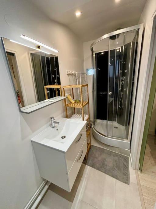 L'Escobar Troyen Apartment Troyes Bagian luar foto